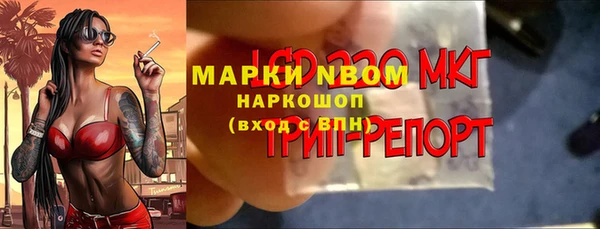 бошки Новодвинск