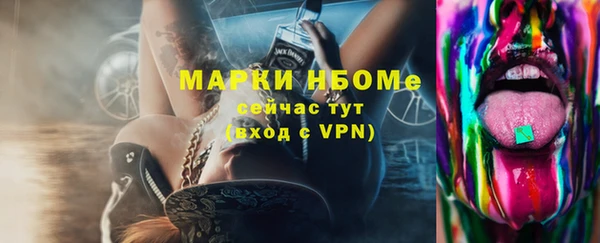 дживик Новозыбков