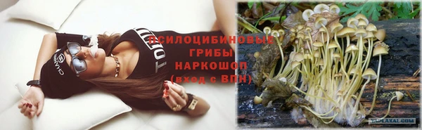 бошки Новодвинск