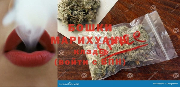дживик Новозыбков