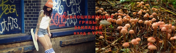 дживик Новозыбков