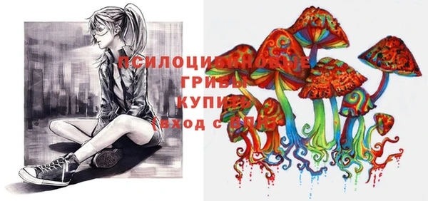 бошки Новодвинск