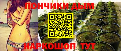 крисы Апшеронск