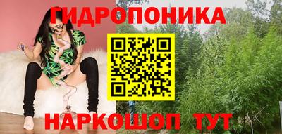 крисы Апшеронск