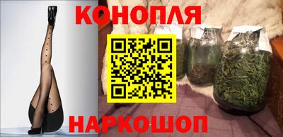 крисы Апшеронск