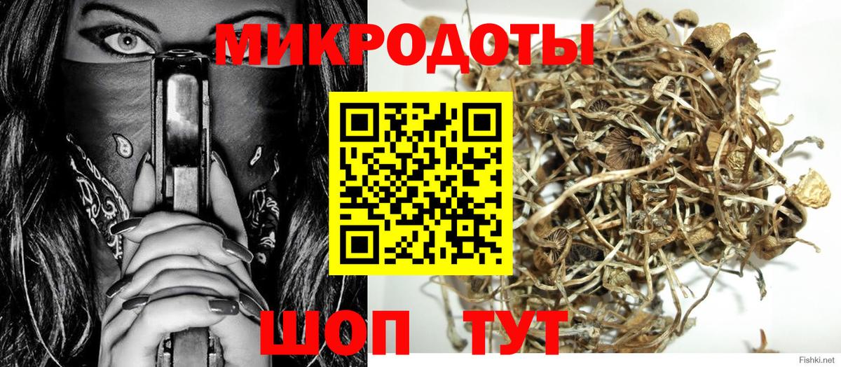 Псилоцибиновые грибы мухоморы Советская Гавань
