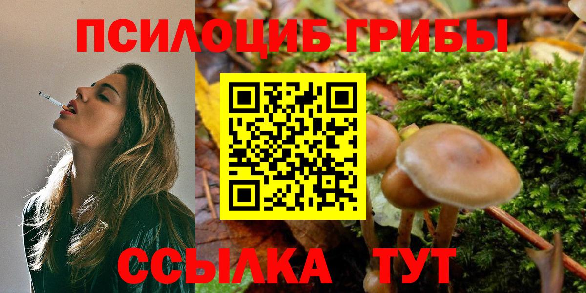 Псилоцибиновые грибы Cubensis  Вход с VPN  Советская Гавань 